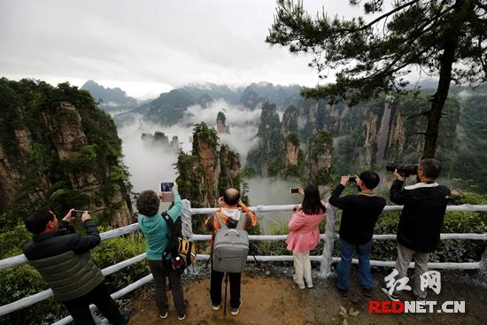 张家界武陵源：雨后云海绕峰间