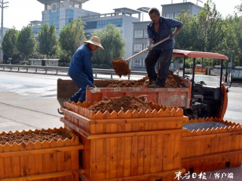 陶庄镇：惠民实事办到群众心坎上