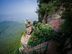 3条乡村近郊游线路，快来体验赏美景、采摘的乐趣吧