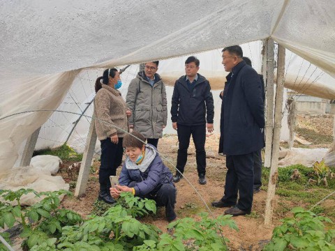 枣庄峄城阴平镇“齐鲁富民贷”走进田间地头