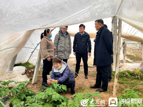 阴平镇“齐鲁富民贷”走进田间地头