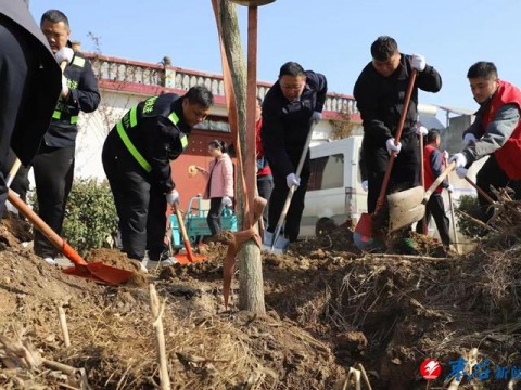 涧头集镇开展义务植树活动