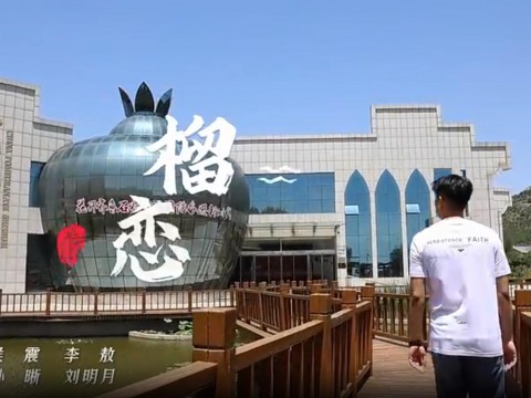 枣庄市峄城区：《榴恋》