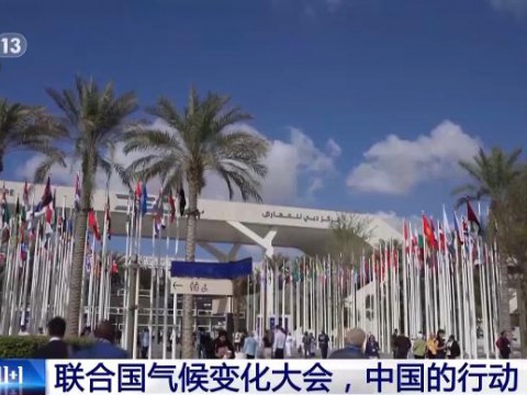 联合国气候变化大会，看看中国有哪些行动