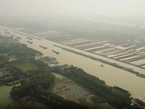 枣庄市台儿庄区：运河湿地秋意浓