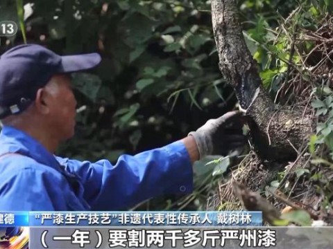 文化中国行丨非遗的现代“漆”迹 严漆重绽家居新魅力