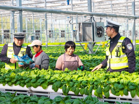 “田间警务” 播撒“安全种子”