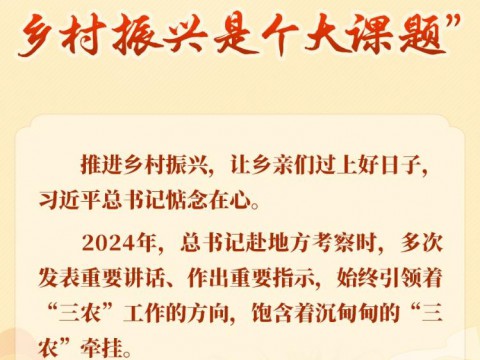 学习新语·足迹｜“中国式现代化，乡村振兴是个大课题”